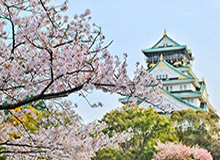 8000万解约金！红魔狂追德甲铁闸，卢克巴空降梦剧场？